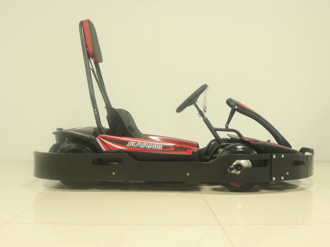 Suyang High Speed 60km/H Adult Racing Go Karts Big Battery Cart Amusement Park Electric Pedal Go Karting