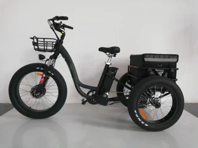 Завод поставляет трехколесный электрический велосипед мощностью 500 Вт, 7-скоростной электрический трехколесный велосипед Shimano для взрослых с толстыми шинами.